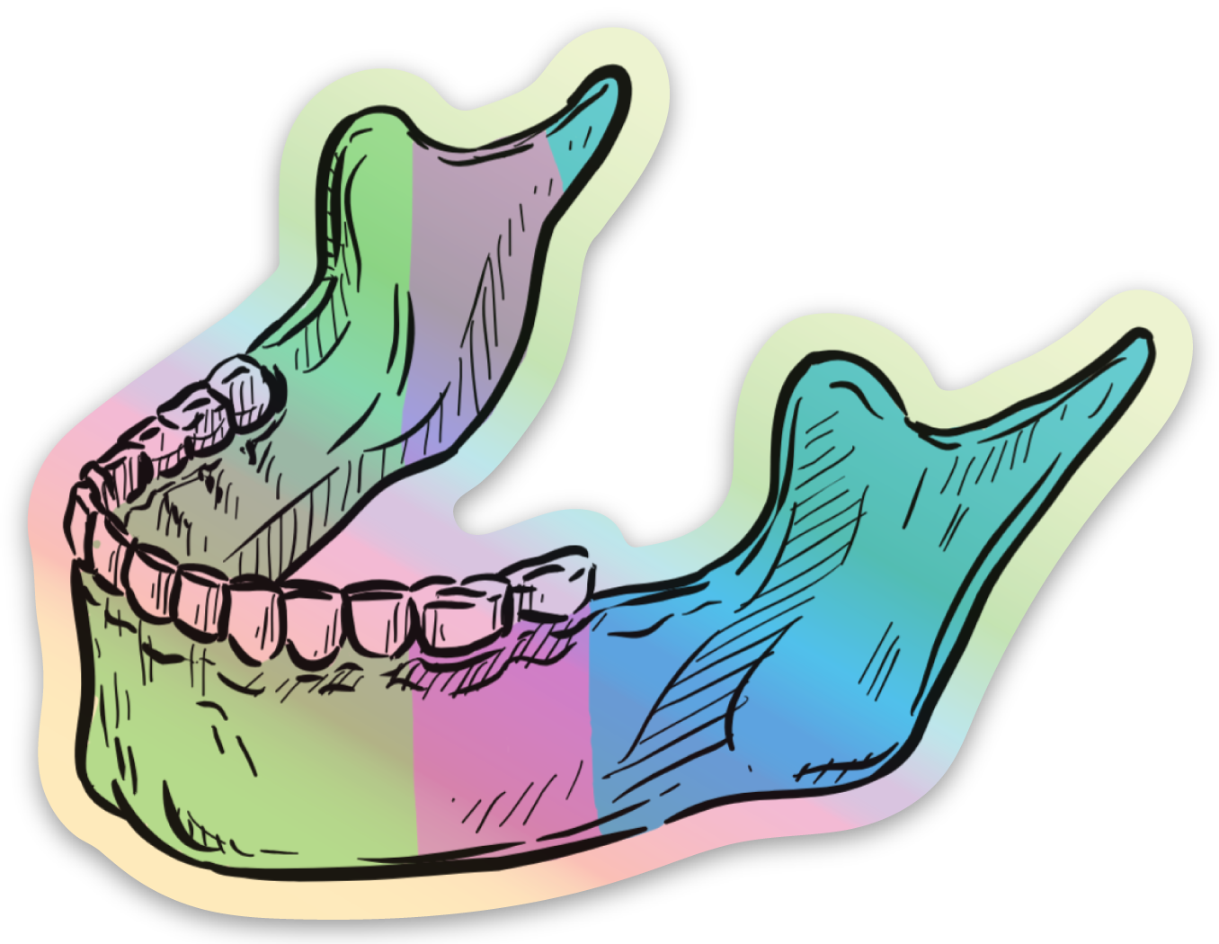 Anatomical Jaw Sticker – Rainbow Gradient Mandible Decal for Dental Pros & Students