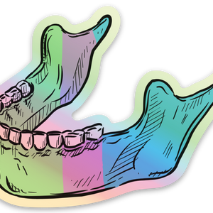 Anatomical Jaw Sticker