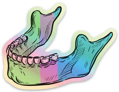 Anatomical Jaw Sticker
